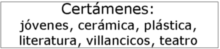 Certámenes de jóvenes creadores, de cerámica, de plástica, de creacion literaria, de villancicos, de teatro. 2013 