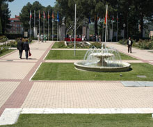 Foto de archivo de La Rosaleda