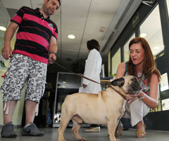 Más de 200 animales esperan ser adoptados en el Centro de Protección Animal