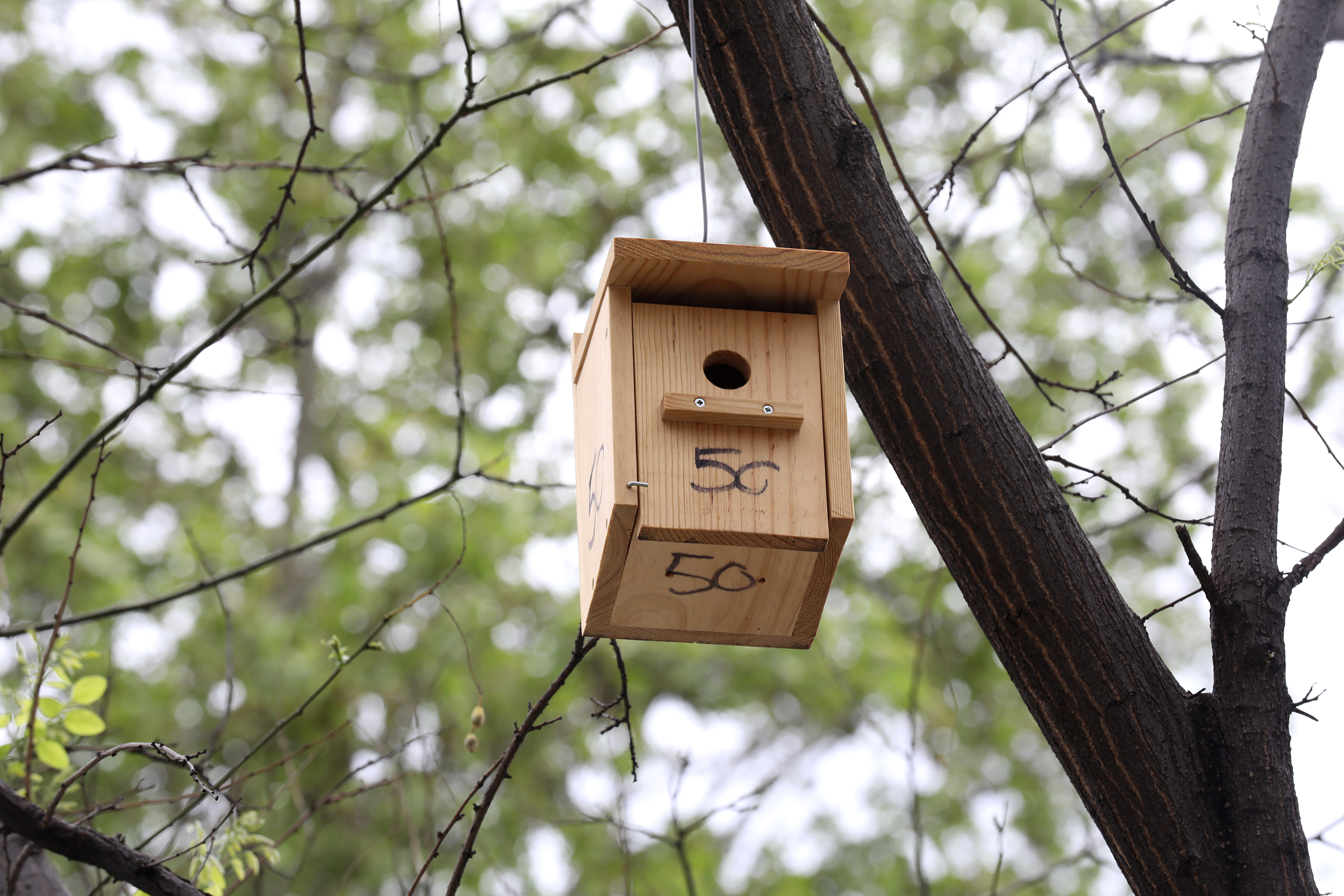 Foto cedida por Ayuntamiento de Madrid