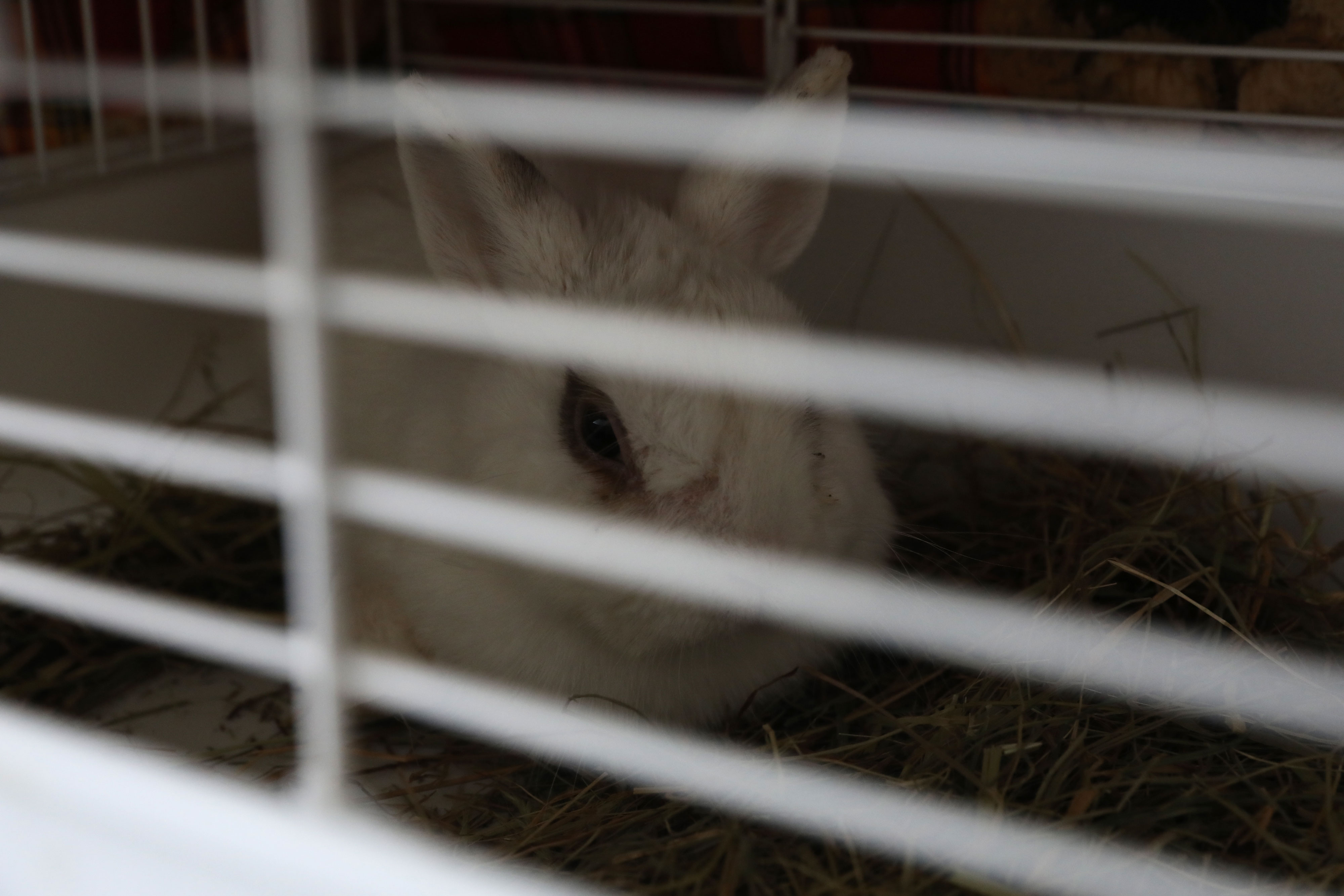 Foto cedida por Ayuntamiento de Madrid