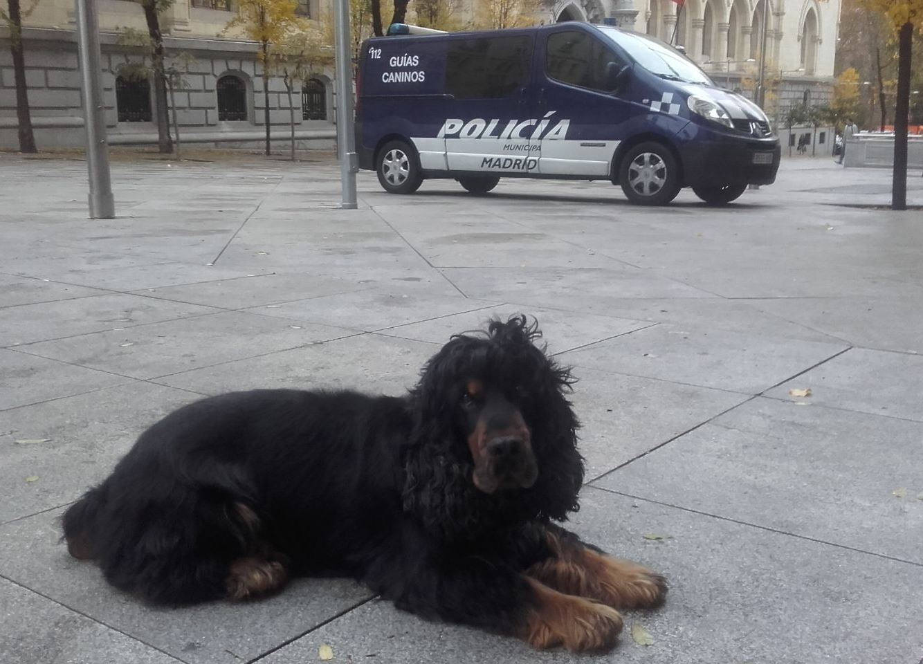 Foto cedida por Ayuntamiento de Madrid
