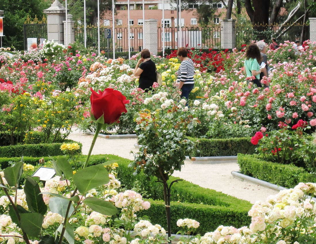 Foto cedida por Ayuntamiento de Madrid
