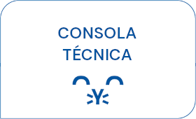 Consola técnica