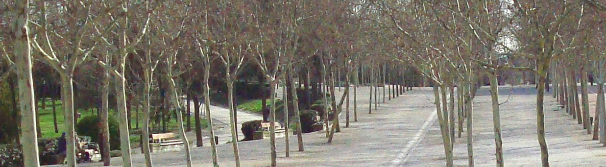 Parque de Palomeras