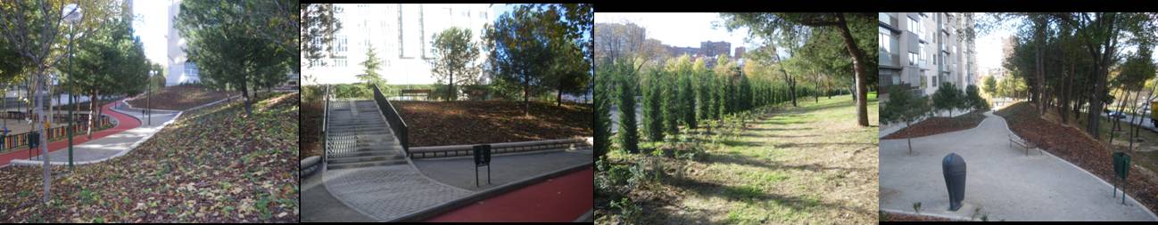 Actuaciones Bergam&iacute;n