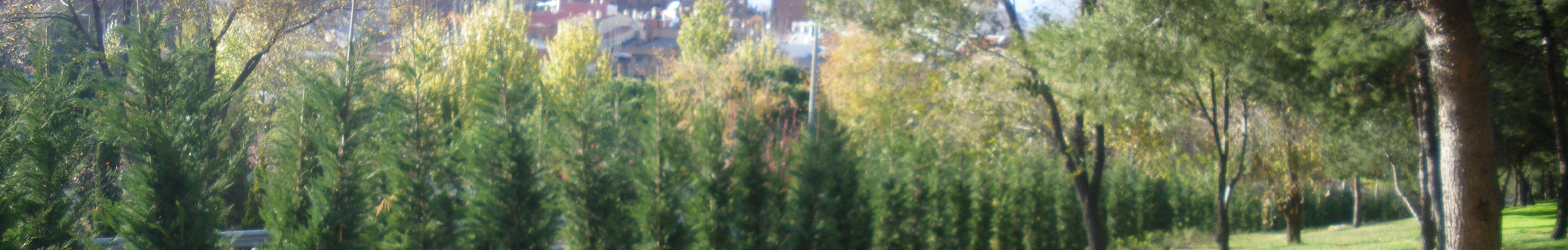 Parque Rafael Bergam&iacute;n