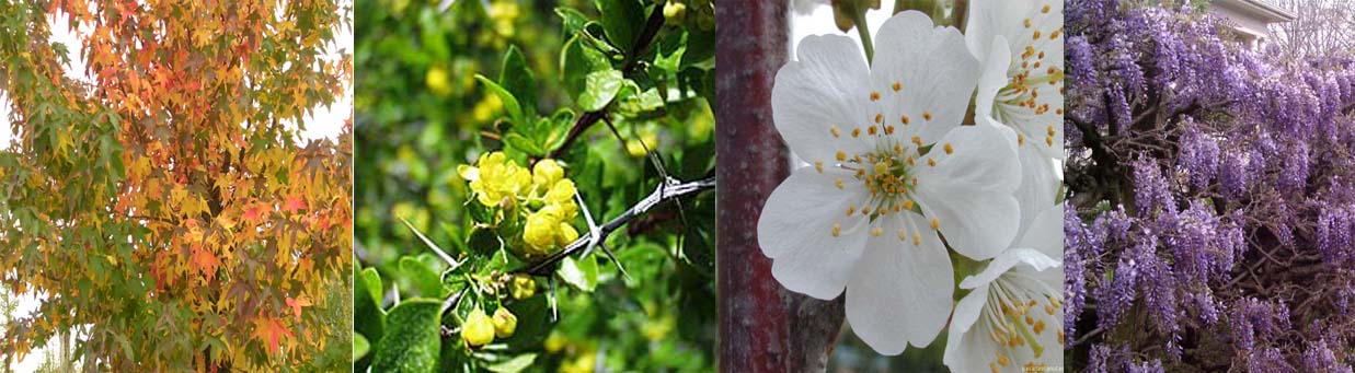 Imagen del Parque Juan Pablo II. Nuevas Plantaciones