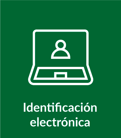 Identificación electrónica