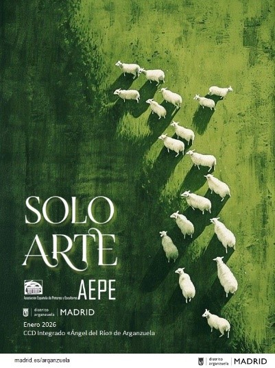 solo arte