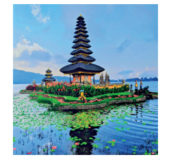 policrom&iacute;a viva