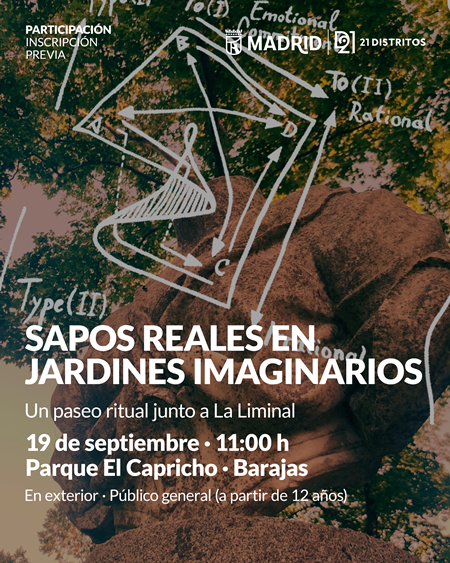sapos 19
