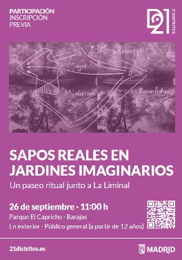 sapos 26