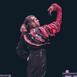 Circo Flamenco Empaque