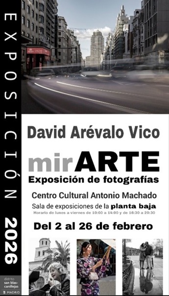 David Ar&eacute;valo Vico. MirArte