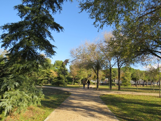 Camino del parque de Pradolongo