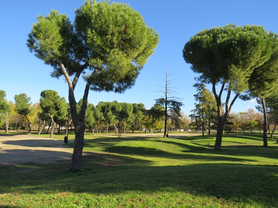 Parque de Pradolongo