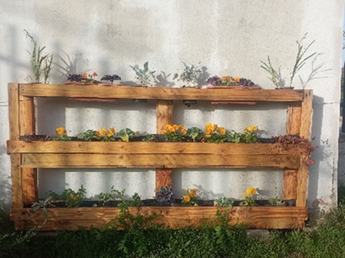 Taller. Maris Stella, un oasis de mariposas