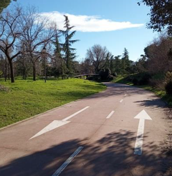 Senda en bici por Pradolongo