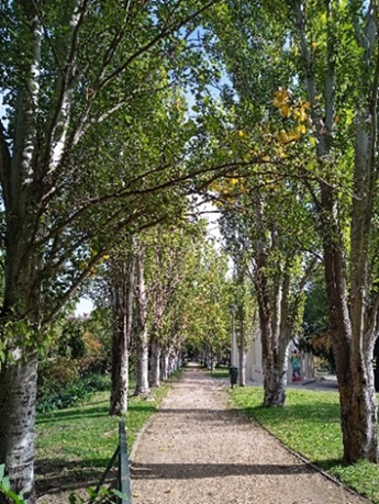 Senda botánica por Pradolongo