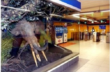 Yacimiento paleontológico. Estación de Metro Carpetana