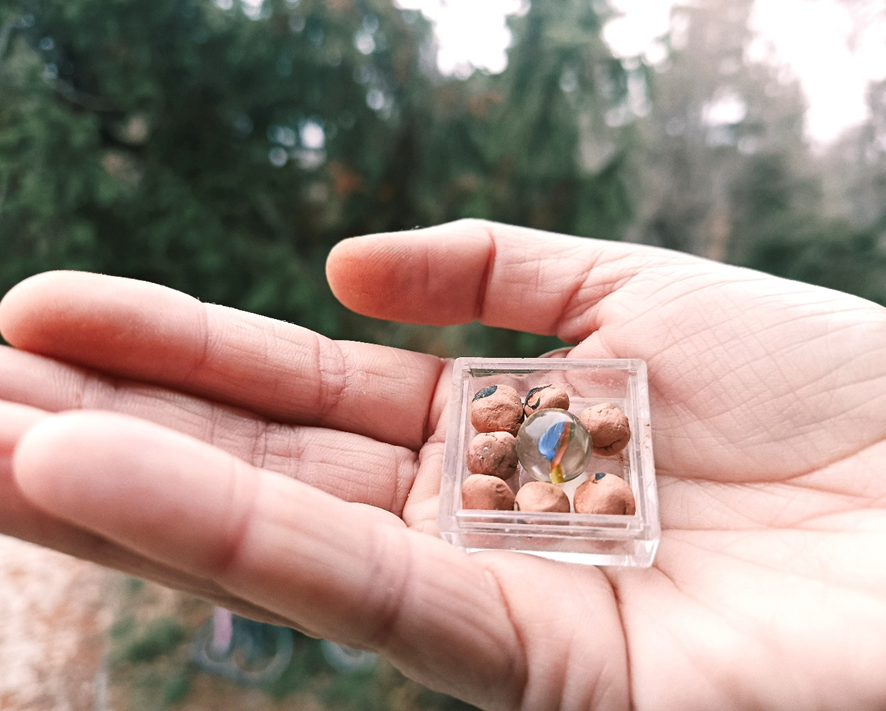 Mano sujeta una caja con canicas