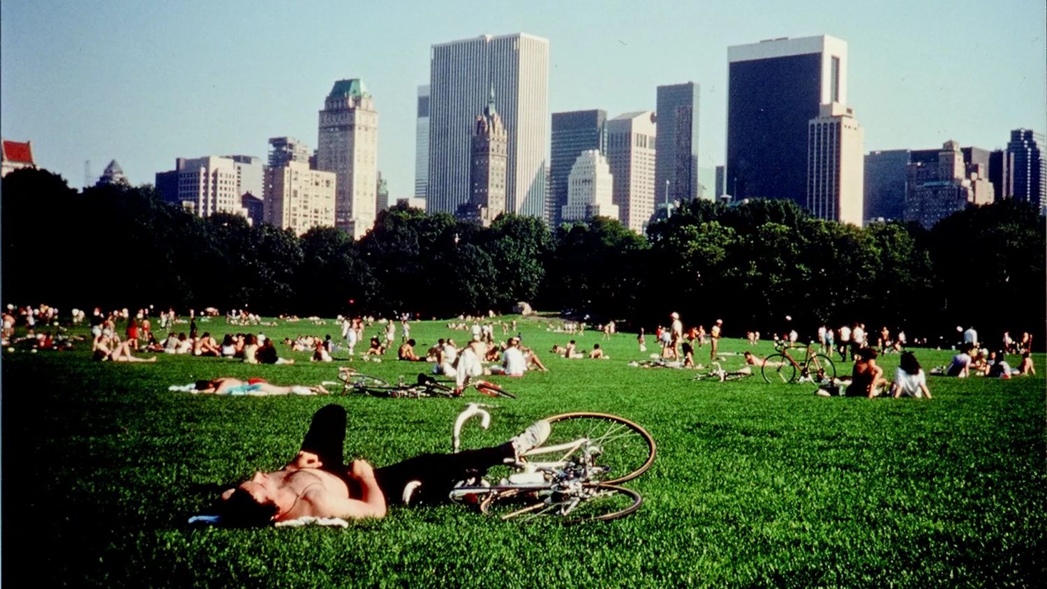 Central Park