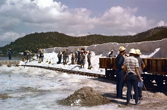 Jacinto Esteva. Sesión de cortometrajes