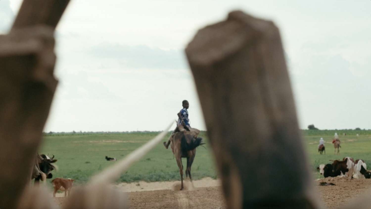 Sección cortometrajes Internacional - AWFF 26