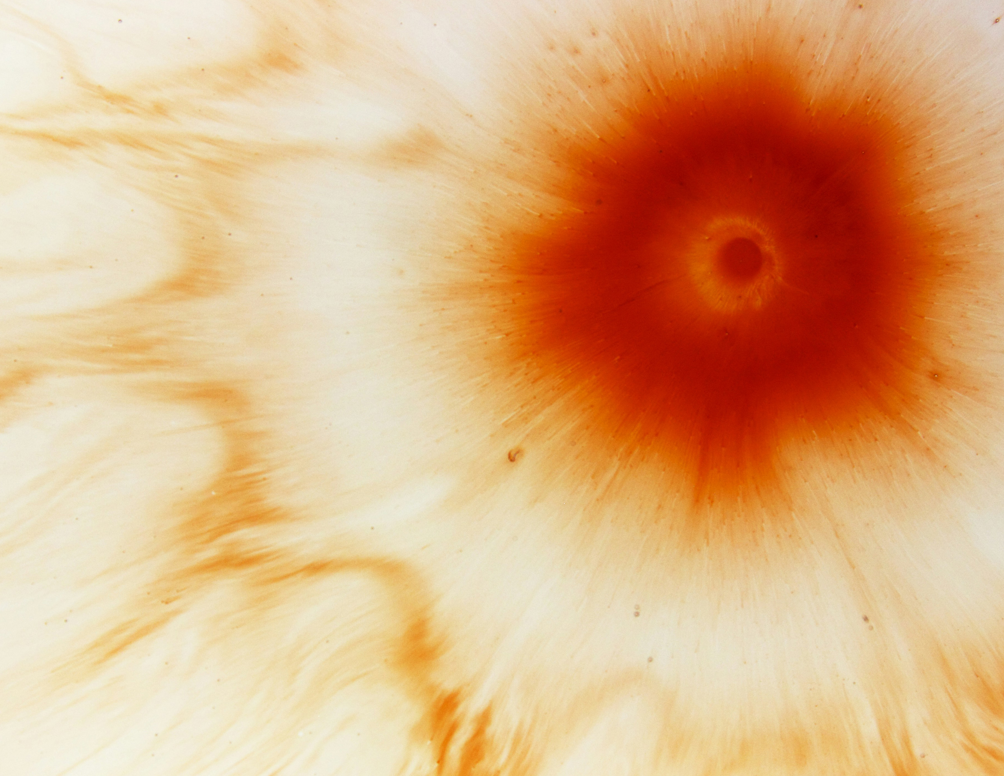 «MICROFESTIVAL RETROSPECTIVAS (VOL. 2)»