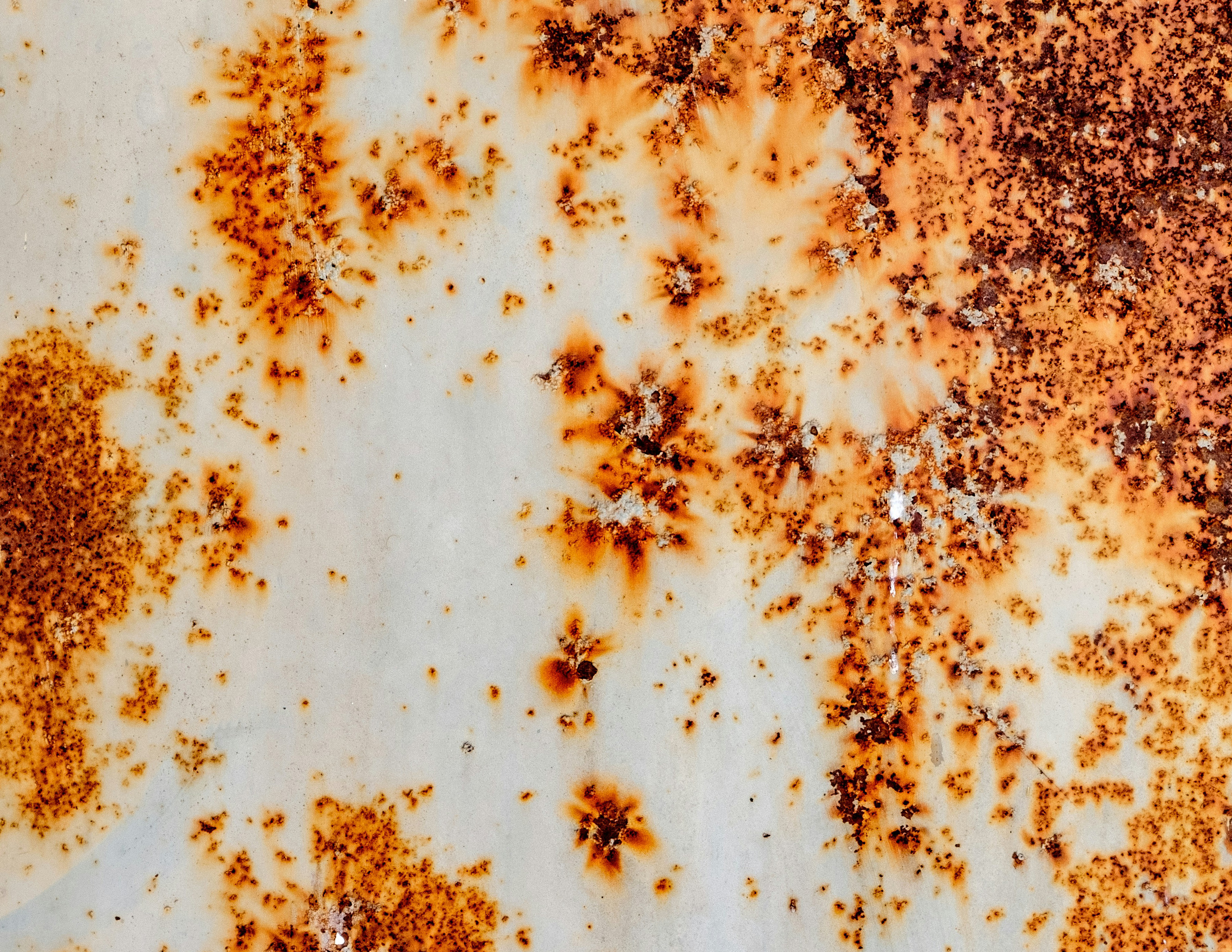 &laquo;LA IA CONTRA GAZA / GAZA CONTRA LA IA&raquo;