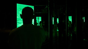 Siluetas de gente a oscuras mirando una pantalla verde