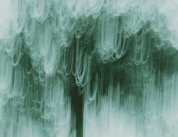 &laquo;NO CESAR&Aacute;N MIS CANTOS &raquo;