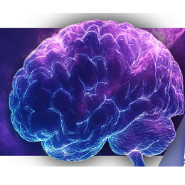 Los misterios del cerebro