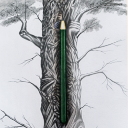 'Alma de grafito' de José Antonio López Rivas