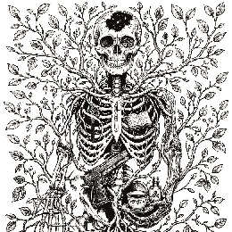 'La Muerte como pretexto', de Susana Collado Vázquez