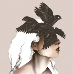 'La herencia de los pájaros' de Paula Sánchez Santiago
