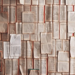 Taller 'Entre libros y palabras'
