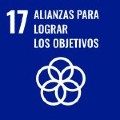 ODS 17 Alianzas para lograr objetivos