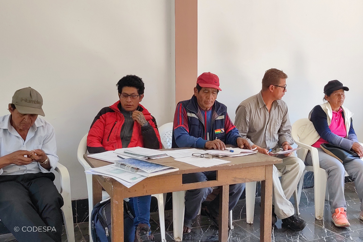 Imagen del proyecto