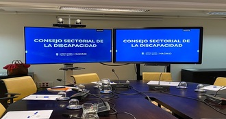 Foto Presentación Consejo Sectorial de la Discapacidad de Madrid