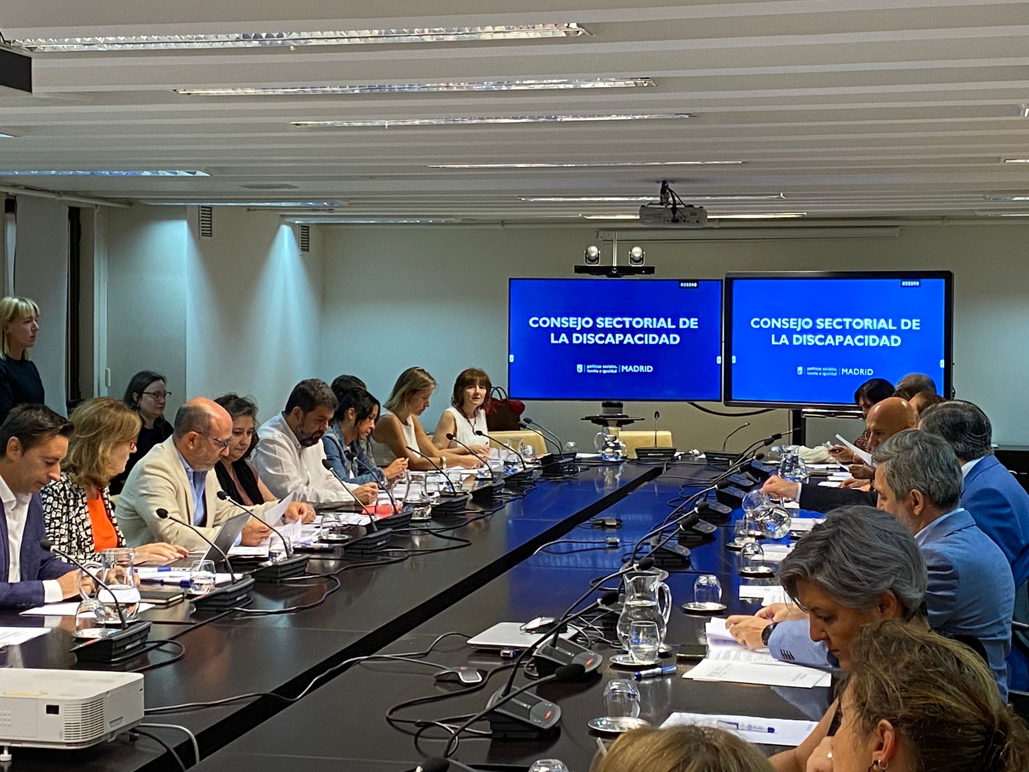 Foto del Consejo Sectorial de la Discapacidad