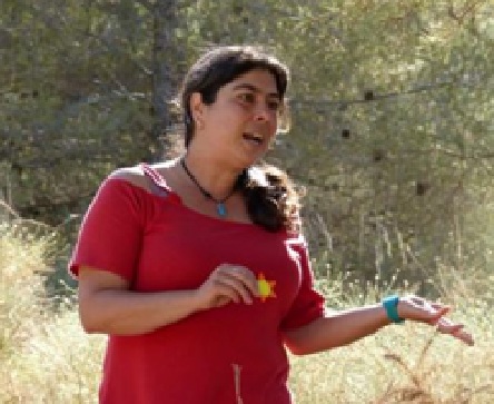 Un bosque de cuentos