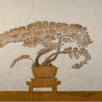 Exposición 'Bonsái'