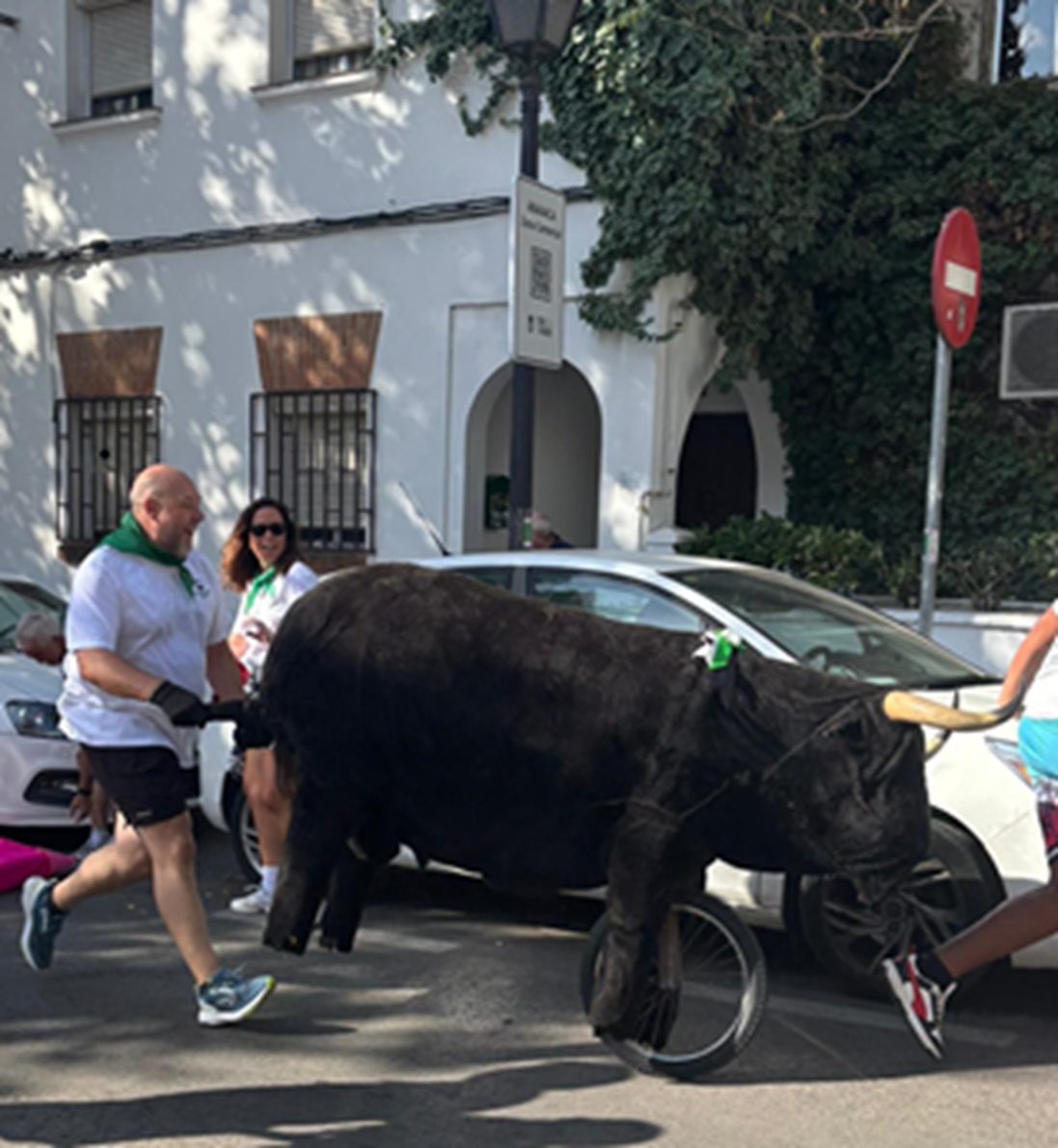 Toro carretón