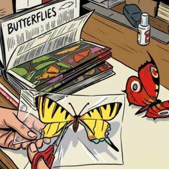 Taller: El color de las mariposas