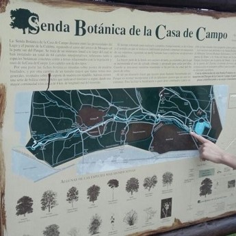 Senda botánica