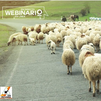 Webinario: Red de vías pecuarias nacionales