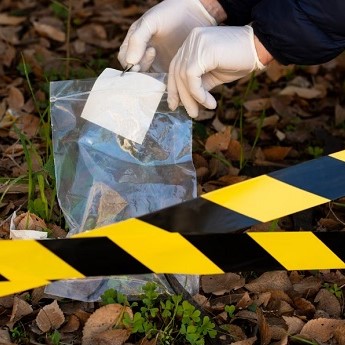 Webinario de Entomolog&iacute;a forense