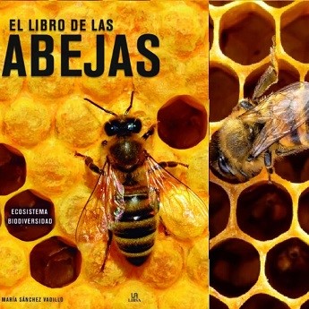 Webinario El libro de las abejas